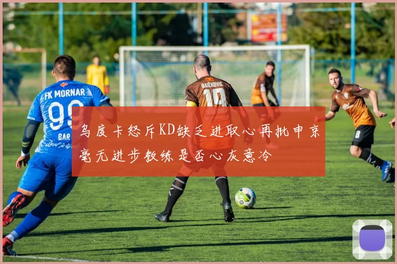 乌度卡怒斥KD缺乏进取心再批申京毫无进步教练是否心灰意冷