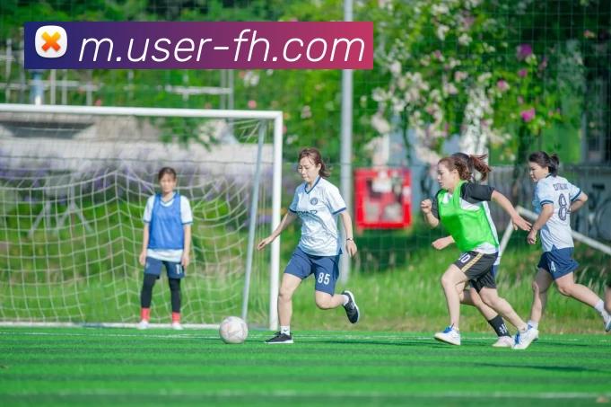 凤凰体育平台生态图