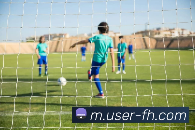 凤凰体育全站App